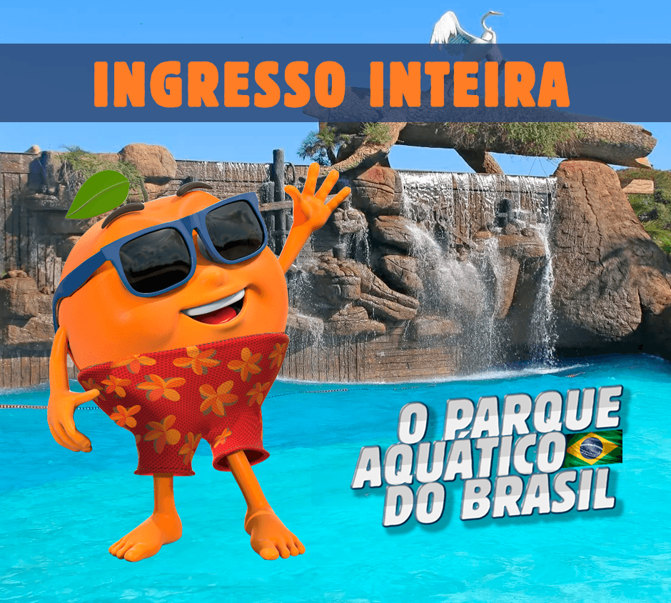 INGRESSO DIÁRIO INTEIRA